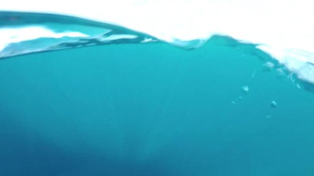 Fish being pulled up to the ocean surface after being caught.
