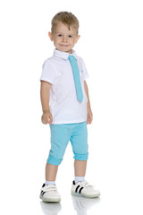 Handsome little boy in full growth