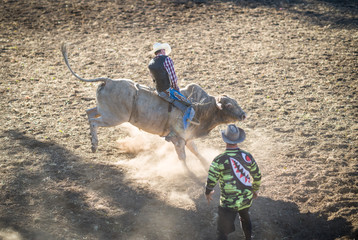 bull riding at a Rodeo
