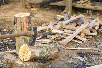 Firewood for cooking and keep warm