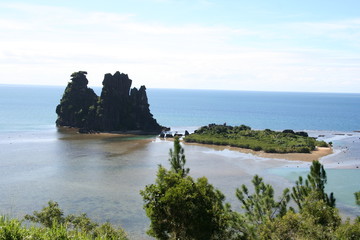 poule cal&eacute;donie