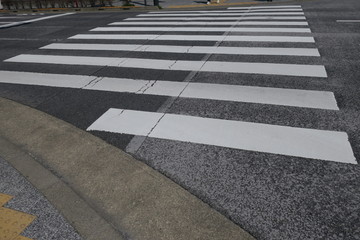 Fototapeta premium 横断歩道