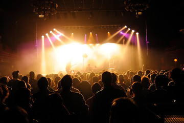 Crowd in a concert