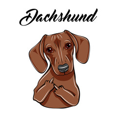 Dachshund middle finger gesture. Dog with gestures. Vector illustration.