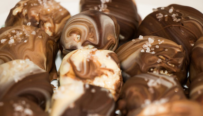 Chocolate Coconut Squares