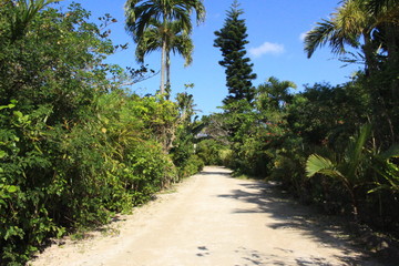 Obraz premium 由布島の風景