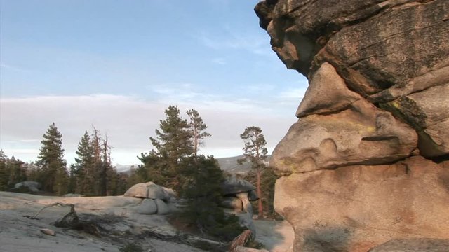 A cliff stands near a group of trees.