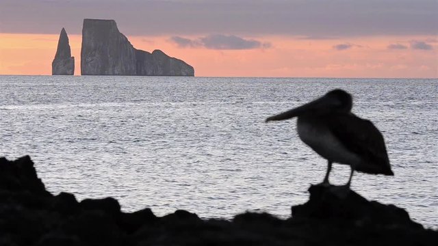 Pelican silhouette and Leon Dormido from Cerro Brujo on San Cristobal Island in the Galapagos National Park and Marine Reserve, Ecuador. 