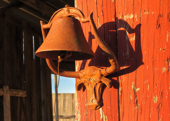 the setting sunlight on a longhorn steer bell