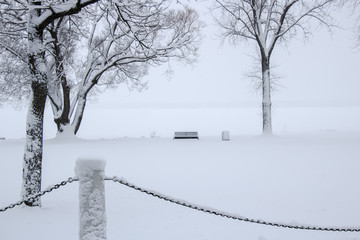 Snow Storm by the Lake