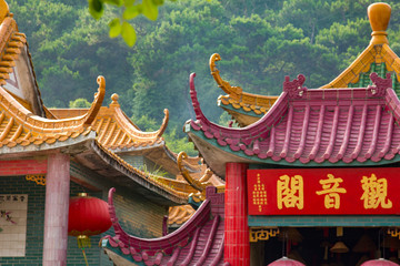 Traditional Chinese Roof