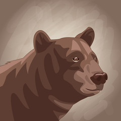 Bear drawing over brown background vector illustration graphic design