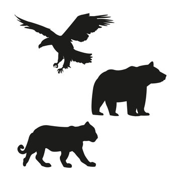 Eagle, bear and tiger black silhouette vector illustration graphic design