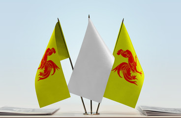 Two flags of Wallonia with a white flag in the middle