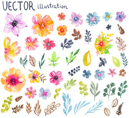 Colorful floral collection with flowers, leaves and berries