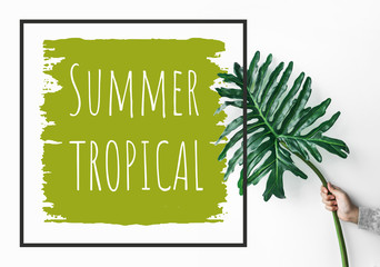Summer tropical text with female holding monstera leaf on color background