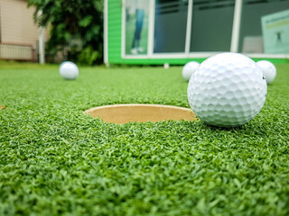 Golf Ball Nestled in the Grass