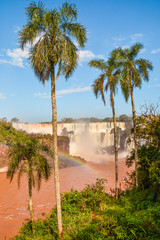 Iguazu Falls at Iguazu National Park - Wonder of the World	