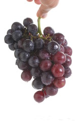 Red grape isolated on white background