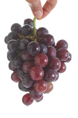 Red grape isolated on white background
