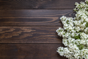 Fototapeta premium An image of all the branches of lilac.