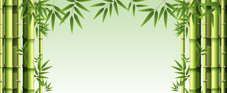 Background template with green bamboo