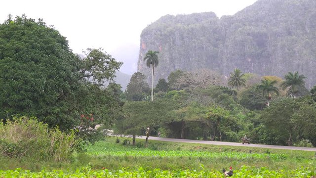 An establishing shot of beautiful Vinales National Park, Cuba.