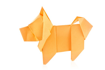 Orange dog chow-chow of origami, isolated on white background.