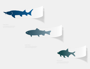 Freshwater fish. Flat sticker with shadow on white background