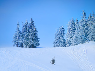 Winter Landscape in Madaras, Harghita, Romania
