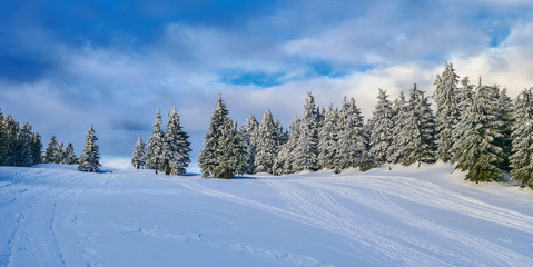 Fototapeta na wymiar Winter Landscape in Madaras, Harghita, Romania 