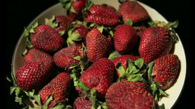 Strawberries decompose in a bowl.