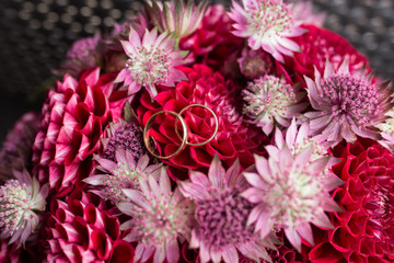 Golden wedding rings lie in a bud of red dahlia. Wedding rings lie on a flower bud