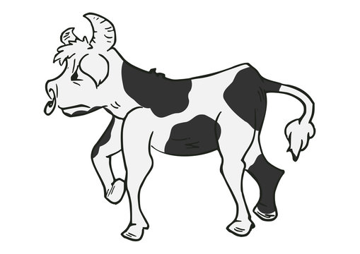 Stier of koe vector illustratie