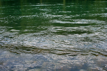 The water of a mountain river with the reflection of green plants in it.