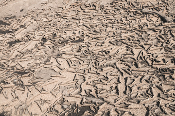 Dry soil caused by drought background,.Crisis of water shortage.