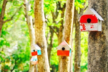 Wood house or artificial nest of squirrels and  Bird On a tree in a park