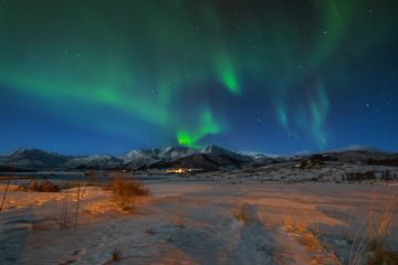 Fototapeta na wymiar Aurora Borealis lofoten norway