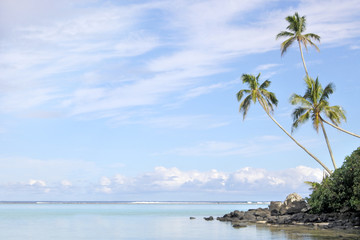 Fototapeta na wymiar Remote beach in Rarotonga Cook Islands