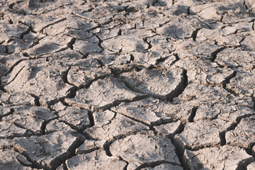 Dry soil caused by drought background.