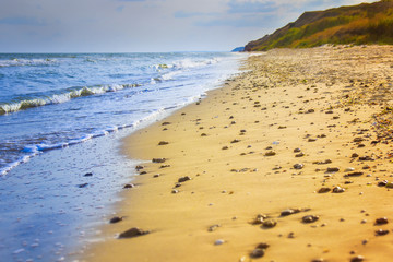 the yellow sand beach near the sea
