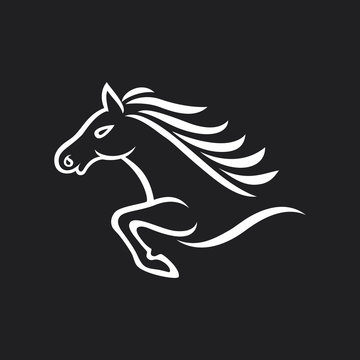 Mascot horse on black background
