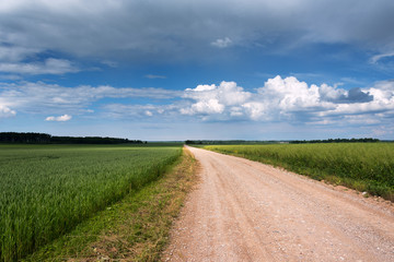 Fototapeta na wymiar Rural road in countryside, Latvia.