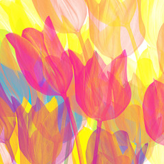 tulips multicolored background