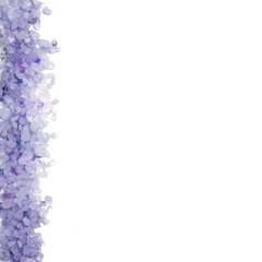 Violet sea salt isolated on white background, lavender