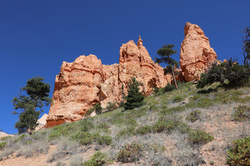 Fototapeta premium Rock Hoodoos in Bryce Canyon National Park in Utah. USA