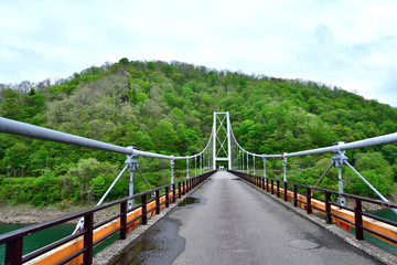 新緑と吊橋