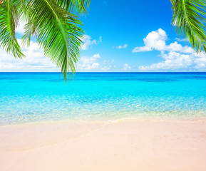 Fototapeta na wymiar Coconut palm trees and blue sky and sea