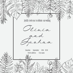 Obraz premium Banner with herbs, leaves and ferns. Frame with a leafy bouquet. Floral design elements.