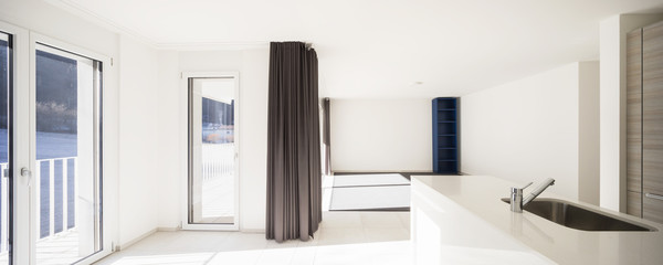 Modern open space with living room and kitchen